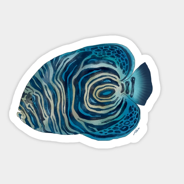 Pomacanthus imperator Sticker by lucamendieta